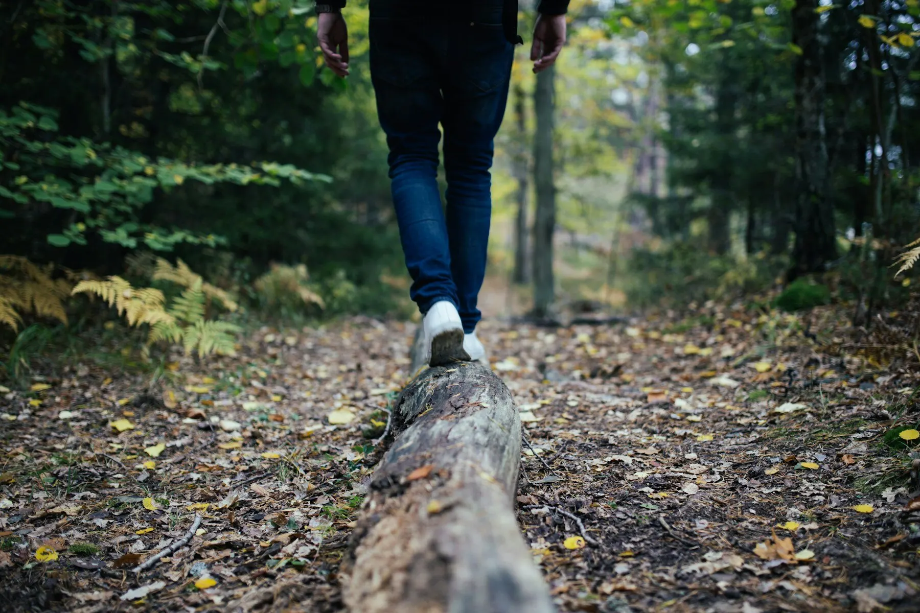 A walker balancing along a fallen log in the forest.