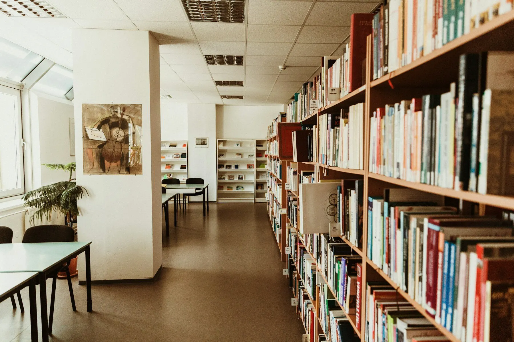 Library shelves and reading tables in soft afternoon light.